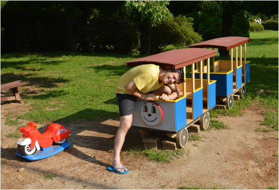 Toy train